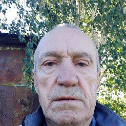 , 63, 