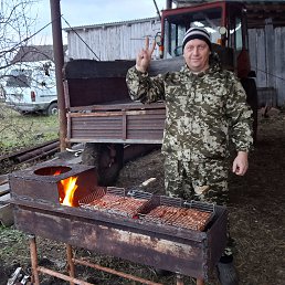 �����, 41 ���, ����