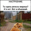 ���� �����, ���� - ��������� 14 �������� 2026 � ������ ������ ��������