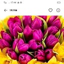 ���� ����, ������, 65 ��� - ��������� 17 ������ 2024