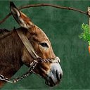 ���� �����, �����������, 45 ��� - ��������� 28 ����� 2026