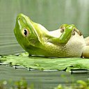 ���� S*****, ������ - ��������� 15 ������� 2025 � ������ ���� ����������