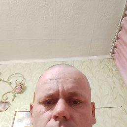 , , 41 
