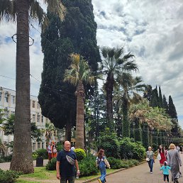 , 54 , 