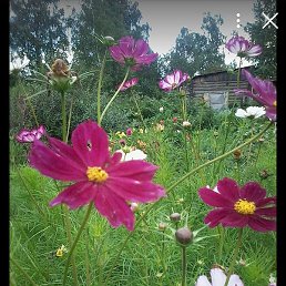 ��������, ��������, 44 ����