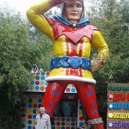 , 61, 