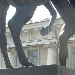 ������, ������, 60 ���