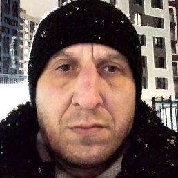 ����, �����-���������, 44 ����