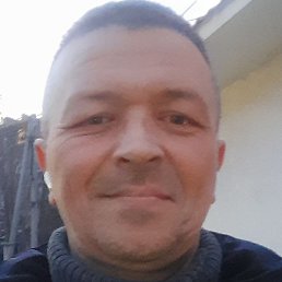 �������, �������, 46 ���