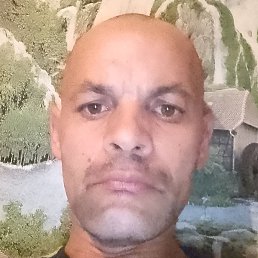 ���� �����, �����, 43 ����