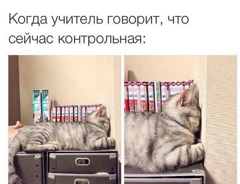 ? ,  ! - 5  2025  08:43