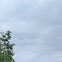  , , 34  -  21  2025