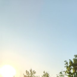 �����, ���������, 36 ���