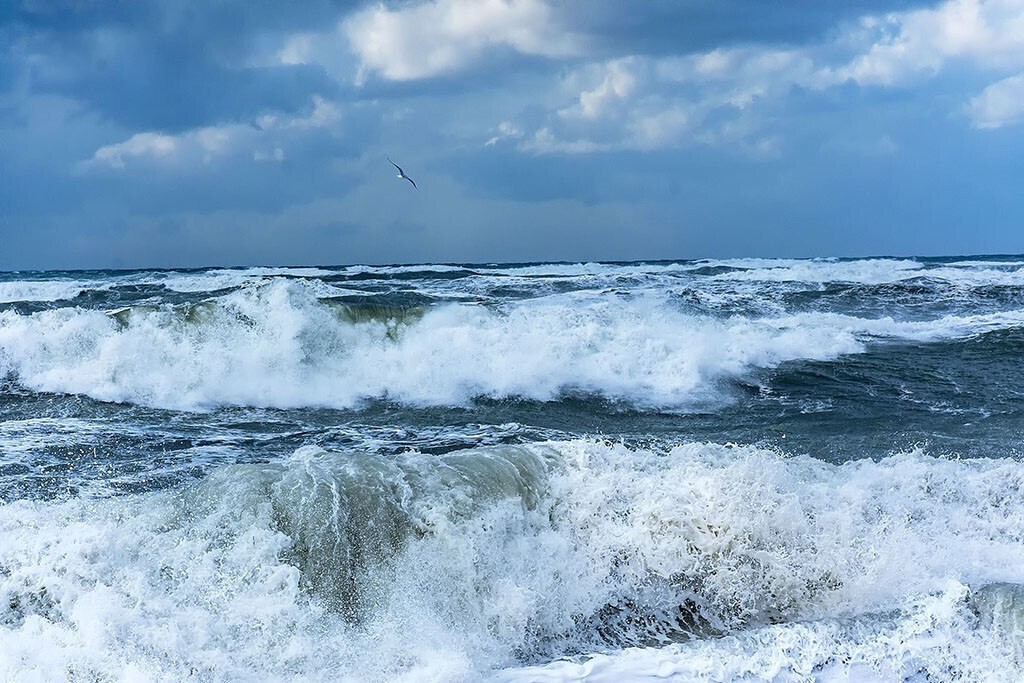 31 октября отмечается МЕЖДУНАРОДНЫЙ ДЕНЬ ЧЁРНОГО МОРЯ.Интересные фактыЧерное море является одним из ...