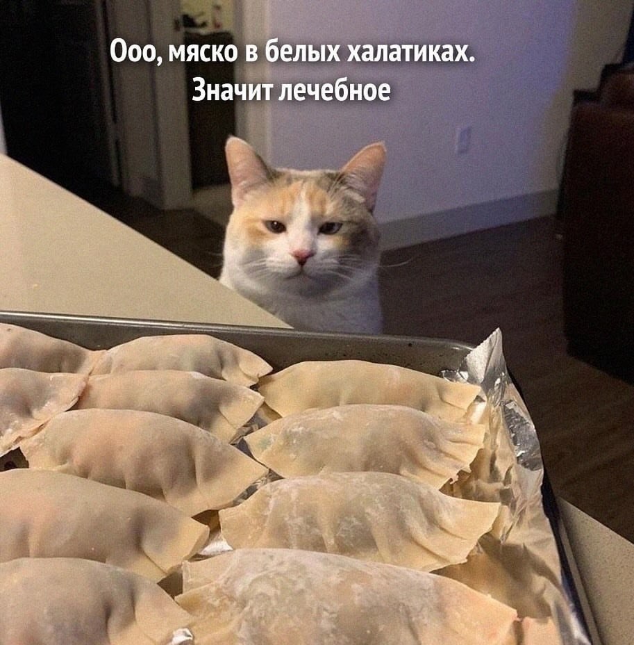       - 14  2023  21:24
