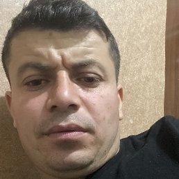 �����, �����-���������, 41 ���