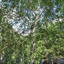 ���� ����� ������� ������� ������, ������ - ��������� 22 ������� 2025 � ������ ���� ����������