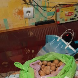 ���� ����, �������, 62 ���� - ��������� 8 ������ 2025