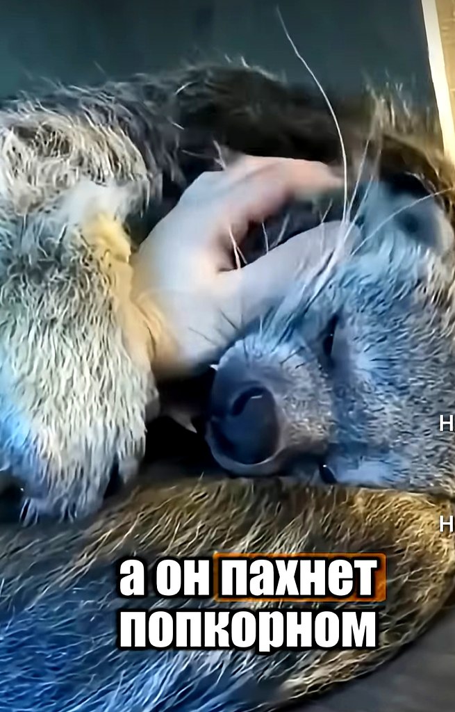  ....   ! )      ...