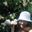  , -, 37  -  30  2025    