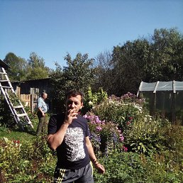 ���� �������, ���������, 54 ���� - ��������� 21 ����� 2026