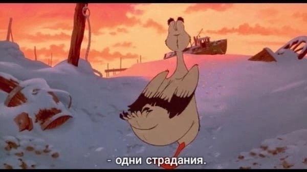 JPG - 5  2025  18:45 - 3
