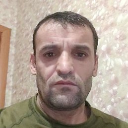 ������, �����-���������, 41 ���