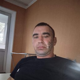 �������, 37 ���, ���������