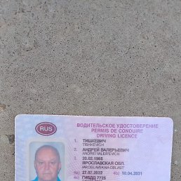 , 41, 