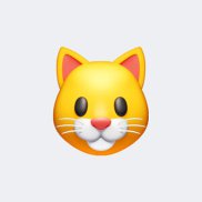 ���, 53 ����, �����������