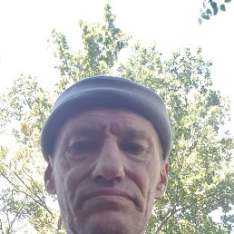 , 56, 