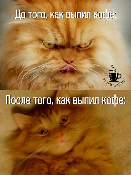 ����� � ���������� �����, � ���� ������ ����������))