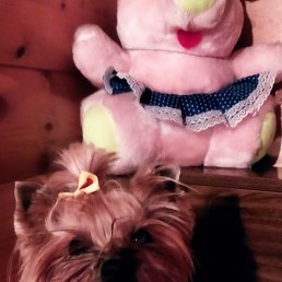 ����, �����, 48 ���