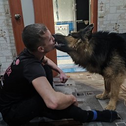 , 37, 