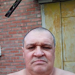 �����, 49 ���, ������������