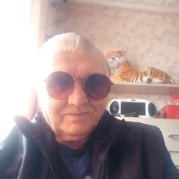 �������� ���������� ����������, ������, 49 ���