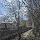 ���� �����, �����������, 68 ��� - ��������� 21 ������ 2026 � ������ ���� ����������