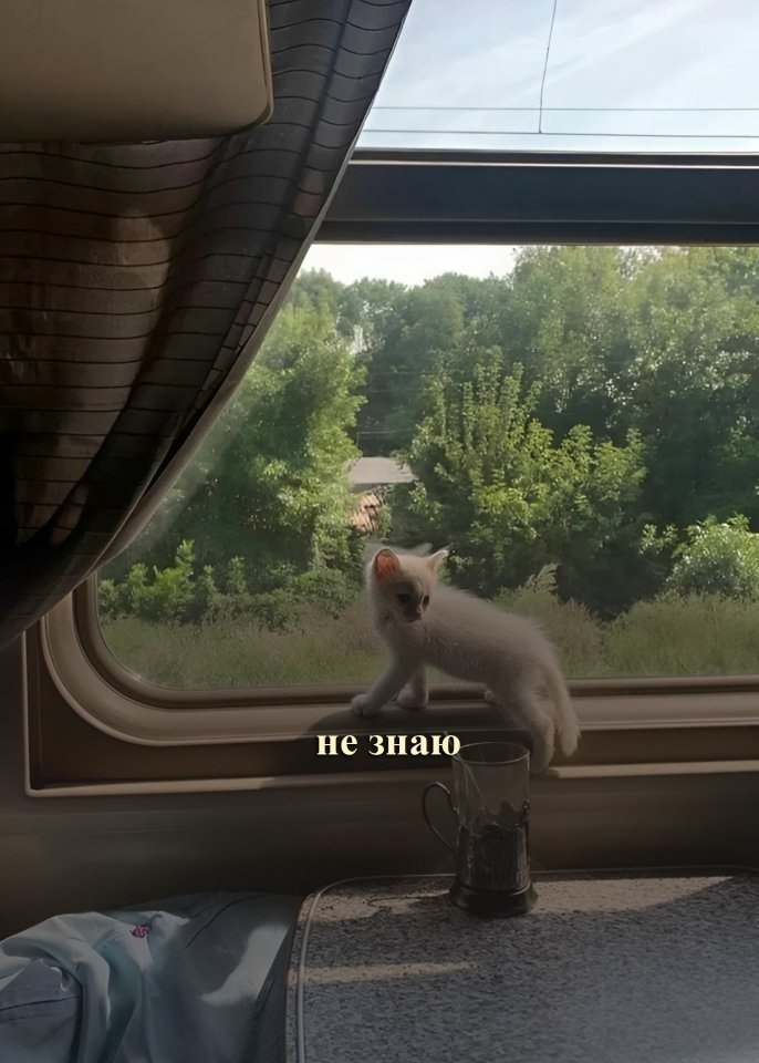 Как всегда - 5