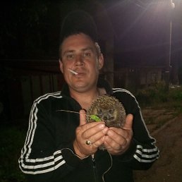 , 35 , 