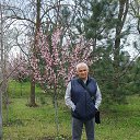 ���� �������, ������-��-����, 74 ���� - ��������� 7 ������ 2025 � ������ ���� ����������