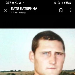 , 41, 