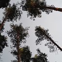 ���� �������, ����� - ��������� 29 ����� 2026 � ������ ���� ����������