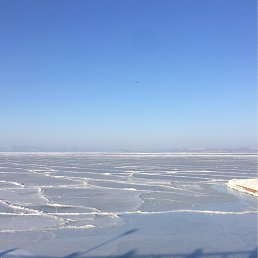 ����, ���������, 47 ���