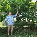 ���� ϸ��, �����������, 59 ��� - ��������� 24 ������ 2024 � ������ ���� ����������