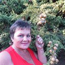  ., , 66  -  21  2025    