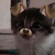 �����, 18 ���, �������