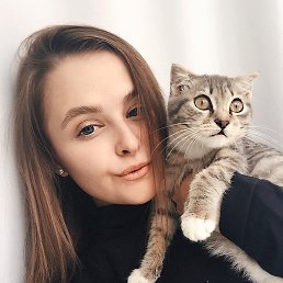 �����, ������, 29 ���