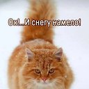 ���� ������, ������, 42 ���� - ��������� 18 ������� 2023