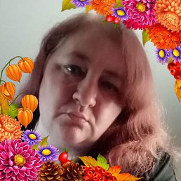 , 43, 