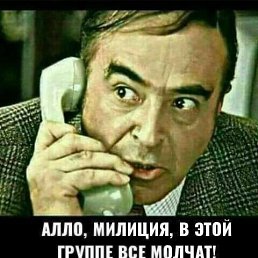 ������ �����������, 43 ����, ���������